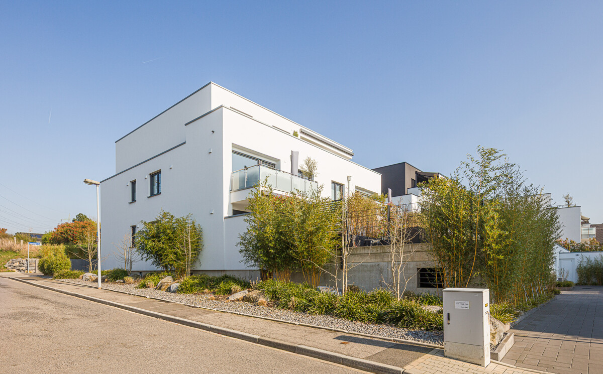 Blick von der Straße