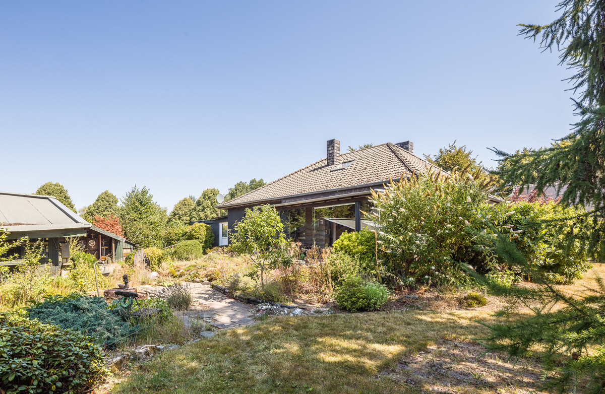 Garten mit Blick aufs Haus